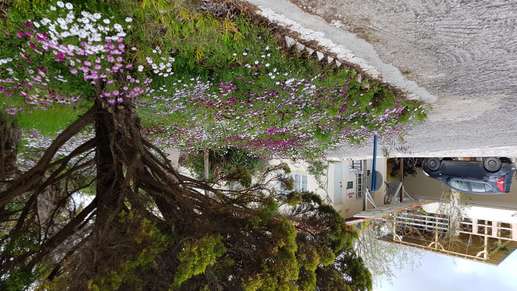Aggiunta una foto a una posizione