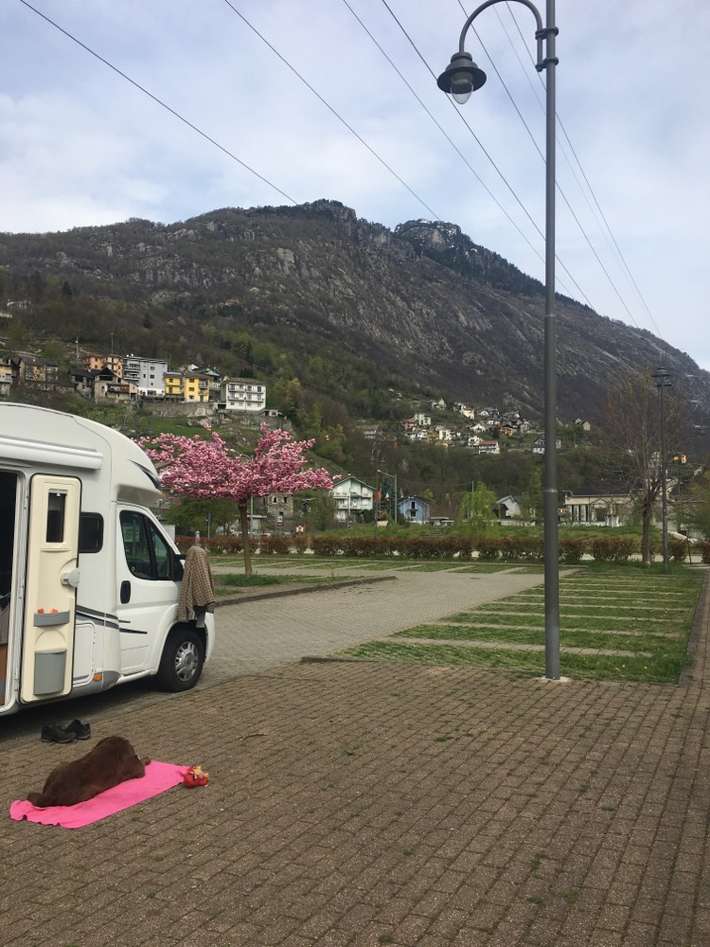 Area Communale