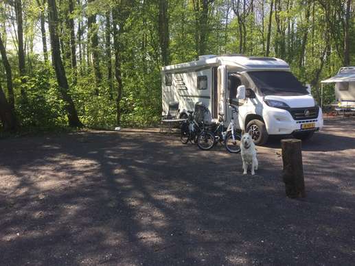 Een foto toegevoegd aan een locatie