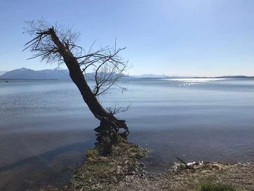 Added a photo to a location