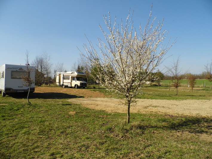 Camping OASE Halogy
