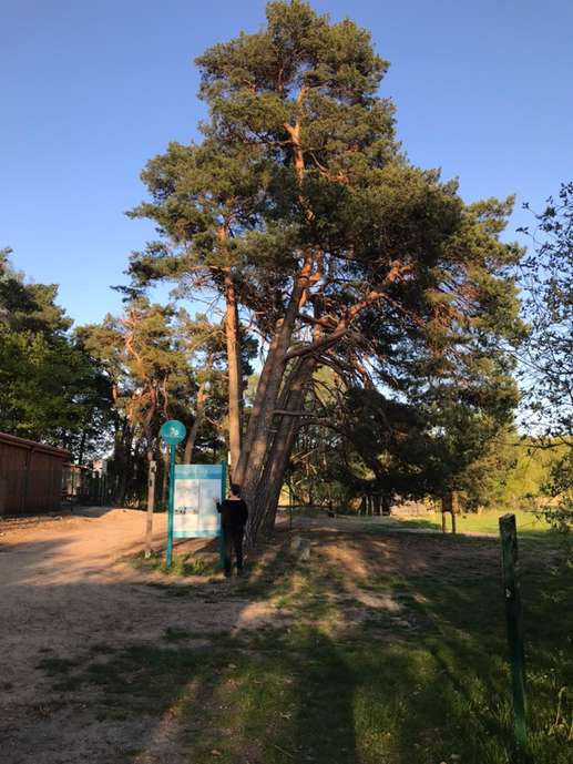 Ajout d'une photo à un emplacement
