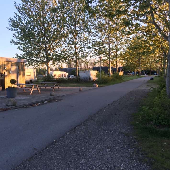 Tangloppen Camping