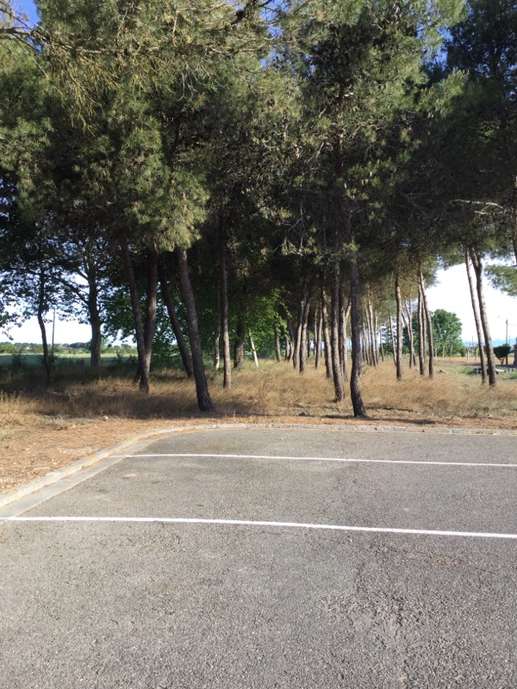 Added a photo to a location