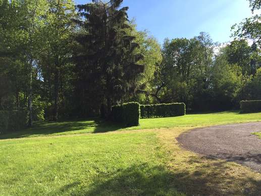 Added a photo to a location