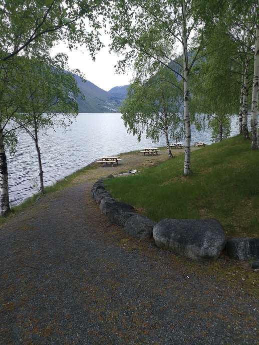 Added a photo to a location