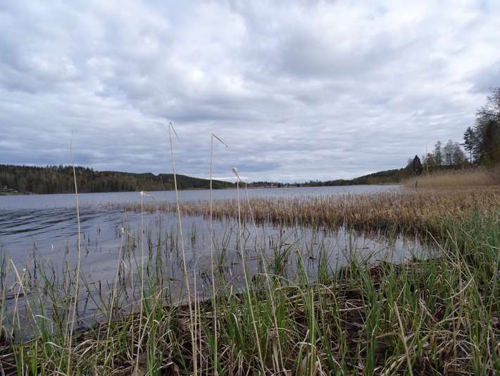 Tängerdalens Ställplats