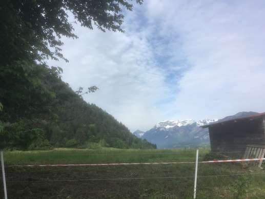 Een foto toegevoegd aan een locatie