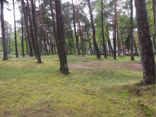 Added a photo to a location