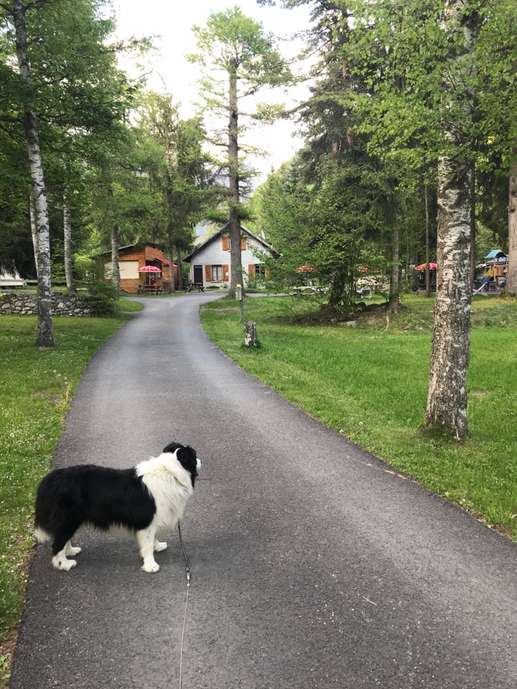 Een foto toegevoegd aan een locatie