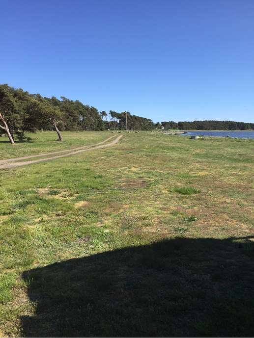 Een foto toegevoegd aan een locatie