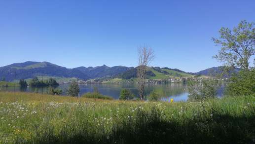 Added a photo to a location