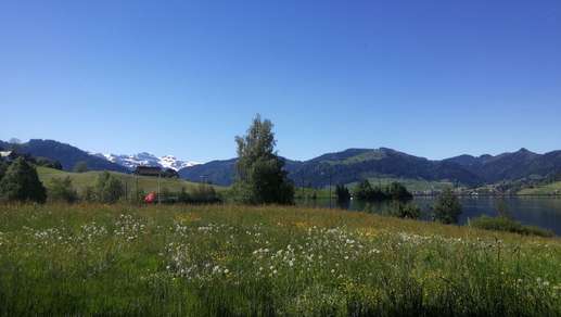Added a photo to a location
