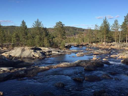 Added a photo to a location