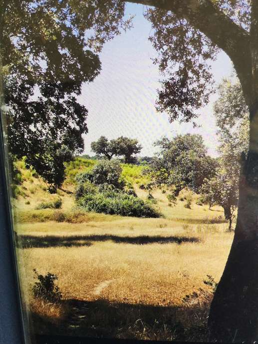 Ajout d'une photo à un emplacement