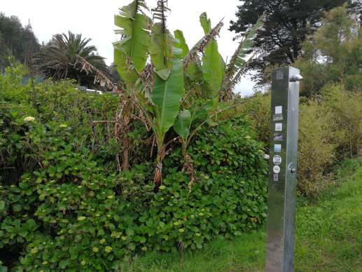 Added a photo to a location