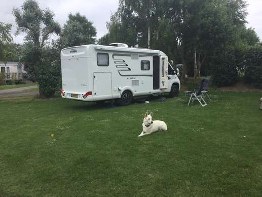 Een foto toegevoegd aan een locatie