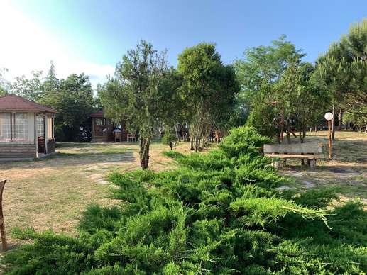 Added a photo to a location