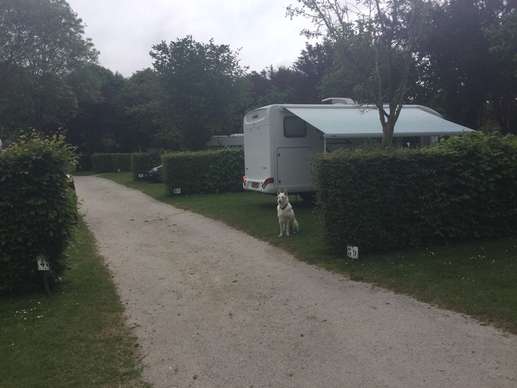 Een foto toegevoegd aan een locatie