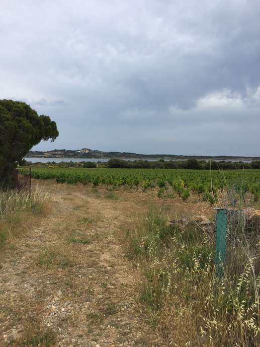 Aggiunta una foto a una posizione
