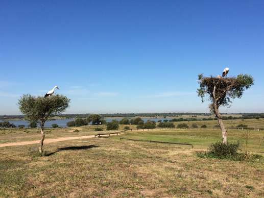 Added a photo to a location