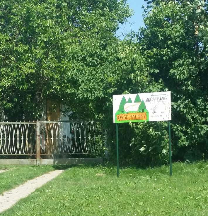 Camping OASE Halogy