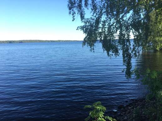 Added a photo to a location