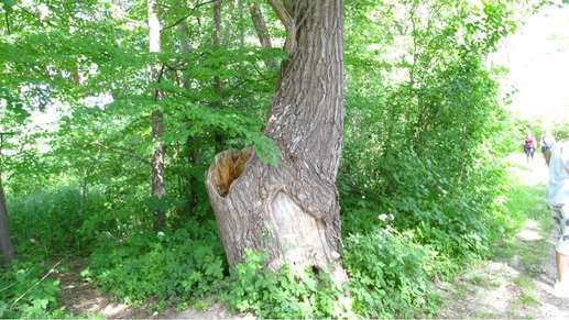 Added a photo to a location