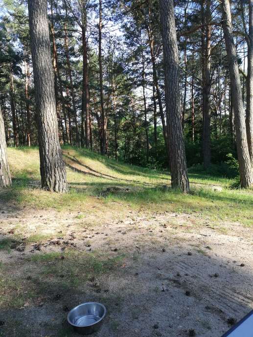 Einem Ort wurde ein Foto hinzugefügt