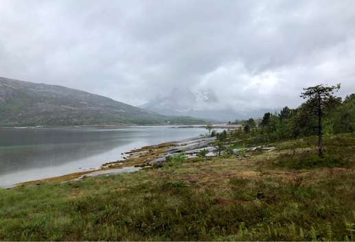 Een foto toegevoegd aan een locatie