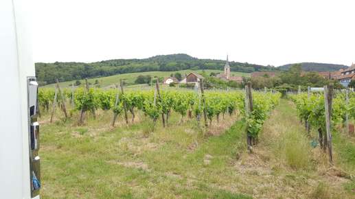 Added a photo to a location