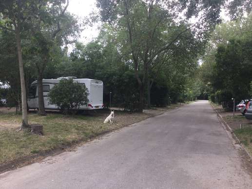 Een foto toegevoegd aan een locatie