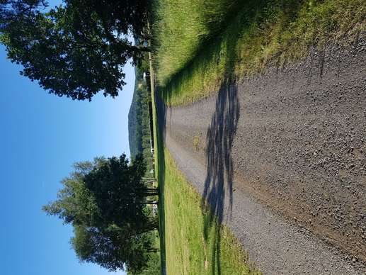 Added a photo to a location