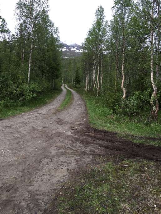 Added a photo to a location
