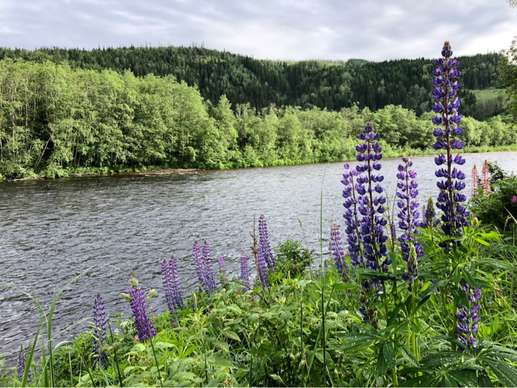 Een foto toegevoegd aan een locatie
