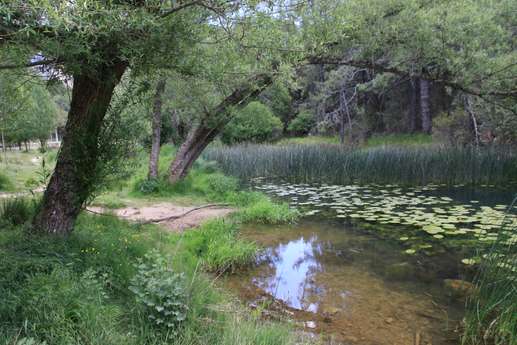 Added a photo to a location