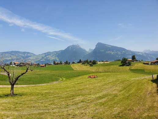 Added a photo to a location