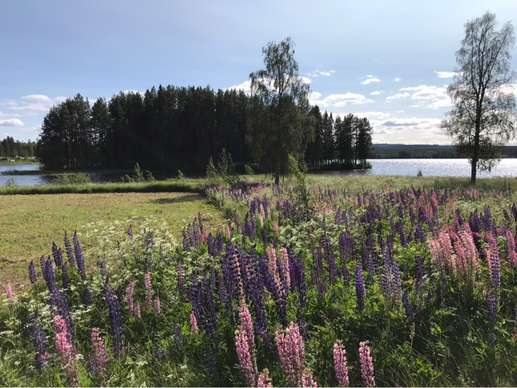 Added a photo to a location