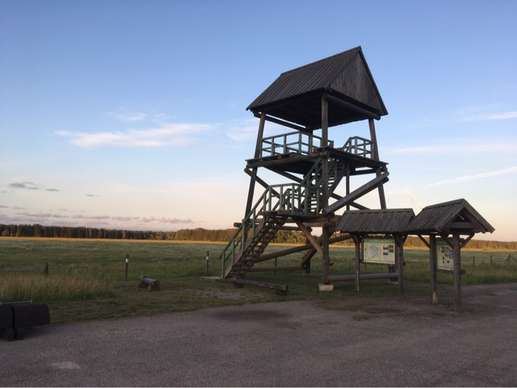 Een foto toegevoegd aan een locatie