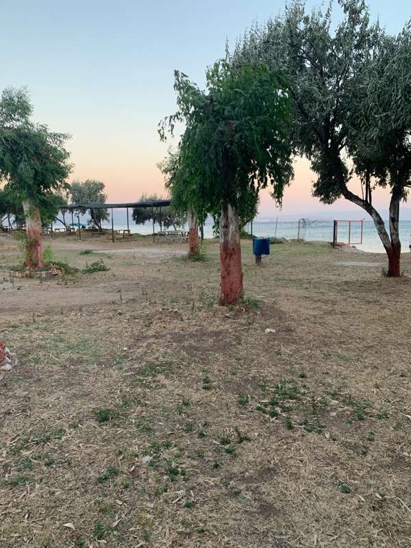 Venüs Camping