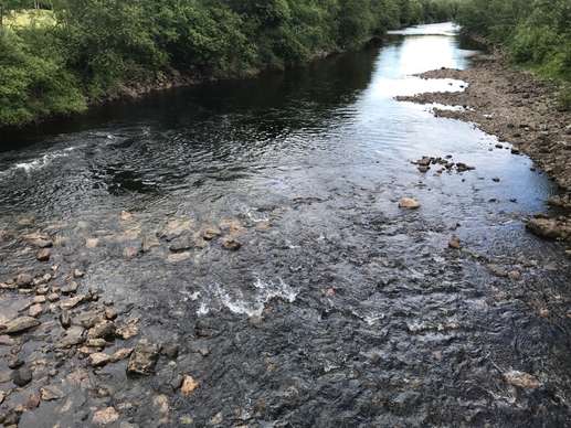 Een foto toegevoegd aan een locatie