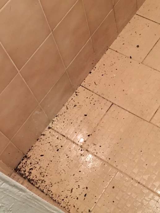 Aggiunta una foto a una posizione