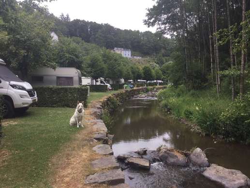 Een foto toegevoegd aan een locatie