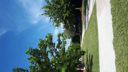 Added a photo to a location