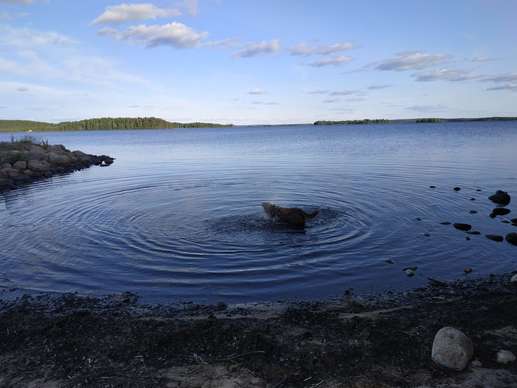 Added a photo to a location