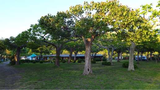Added a photo to a location