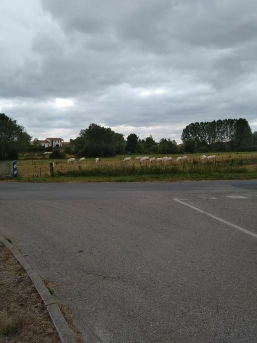 Added a photo to a location