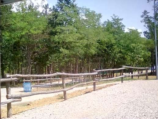 Added a photo to a location