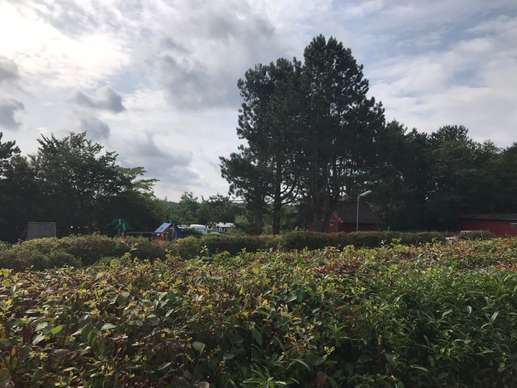 Een foto toegevoegd aan een locatie