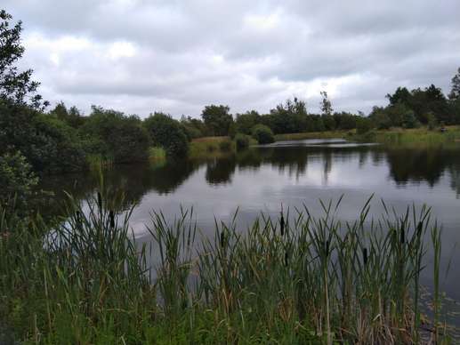 Een foto toegevoegd aan een locatie
